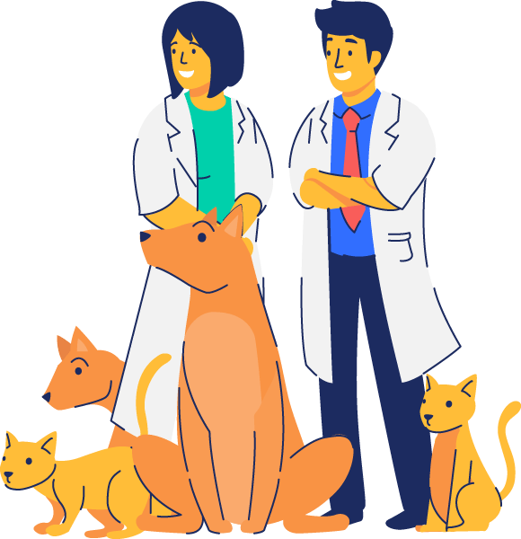 vet 02 Fast And Brilliant HR Group l 人力資源公司 l 外判人力資源公司